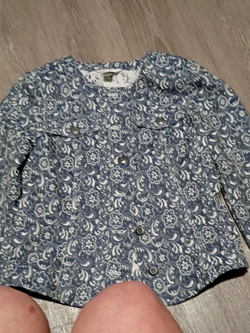 Blue Paisley Button-Up Jacket
